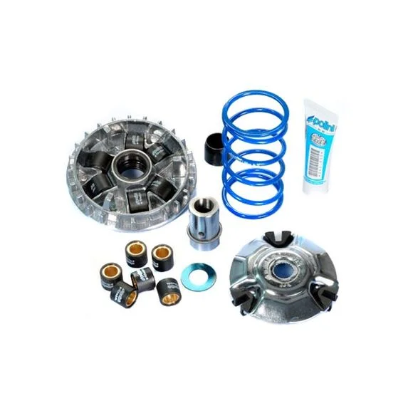 Variateur Polini HI Speed Ref : PN241686 / 1011888