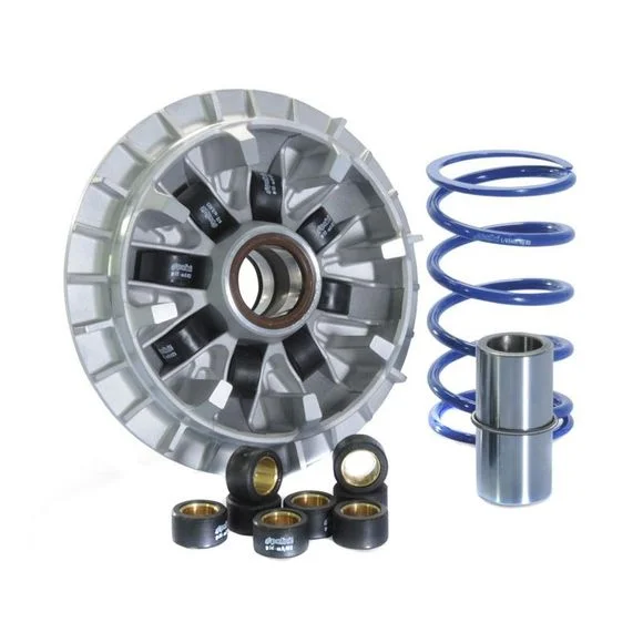Variateur Polini HI Speed Ref : PN241717 / 1011903