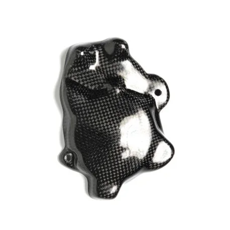 YAMAHA R1 ALTERNATOR COVER PROTECTION CARBON